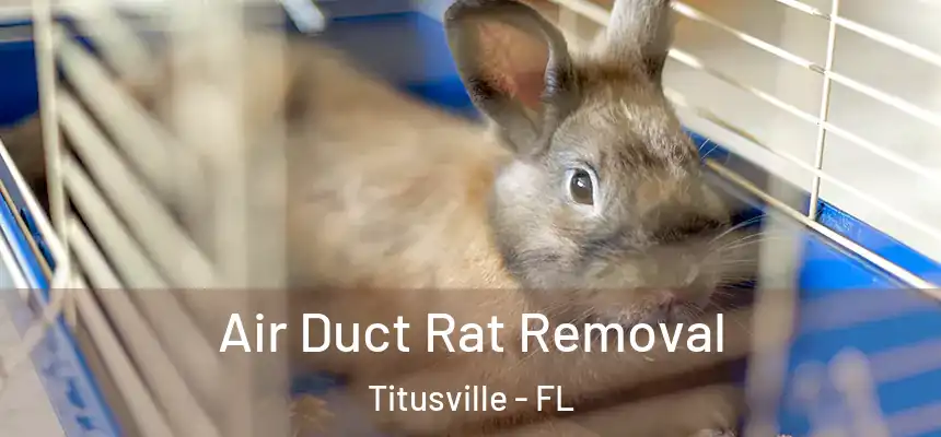  Air Duct Rat Removal Titusville - FL