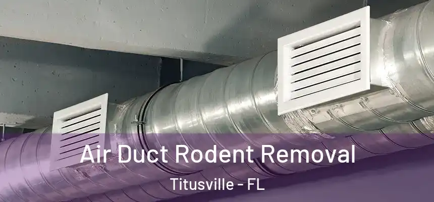  Air Duct Rodent Removal Titusville - FL