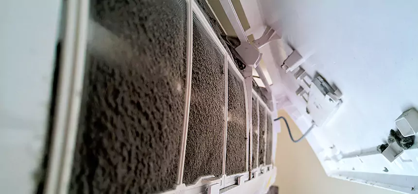 Preventive Air Duct Bacteria Removal in Titusville