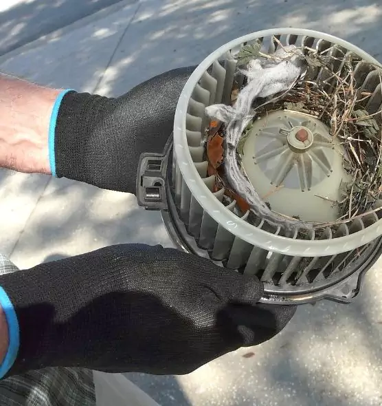 About Air Duct Rat Removal in Titusville, FL