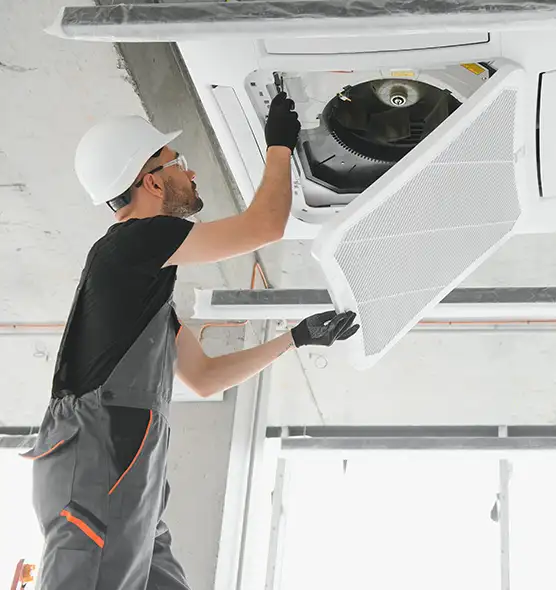 About Air Duct Rodent Removal in Titusville, FL