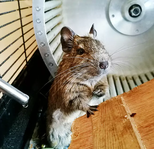 Why Homeowners & Businesses Trust Us Titusville, FL